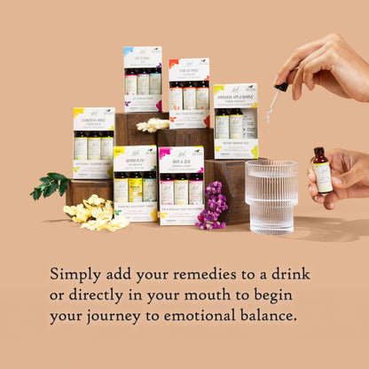 Bach Original Flower Remedies, Get It Done Trio Kit