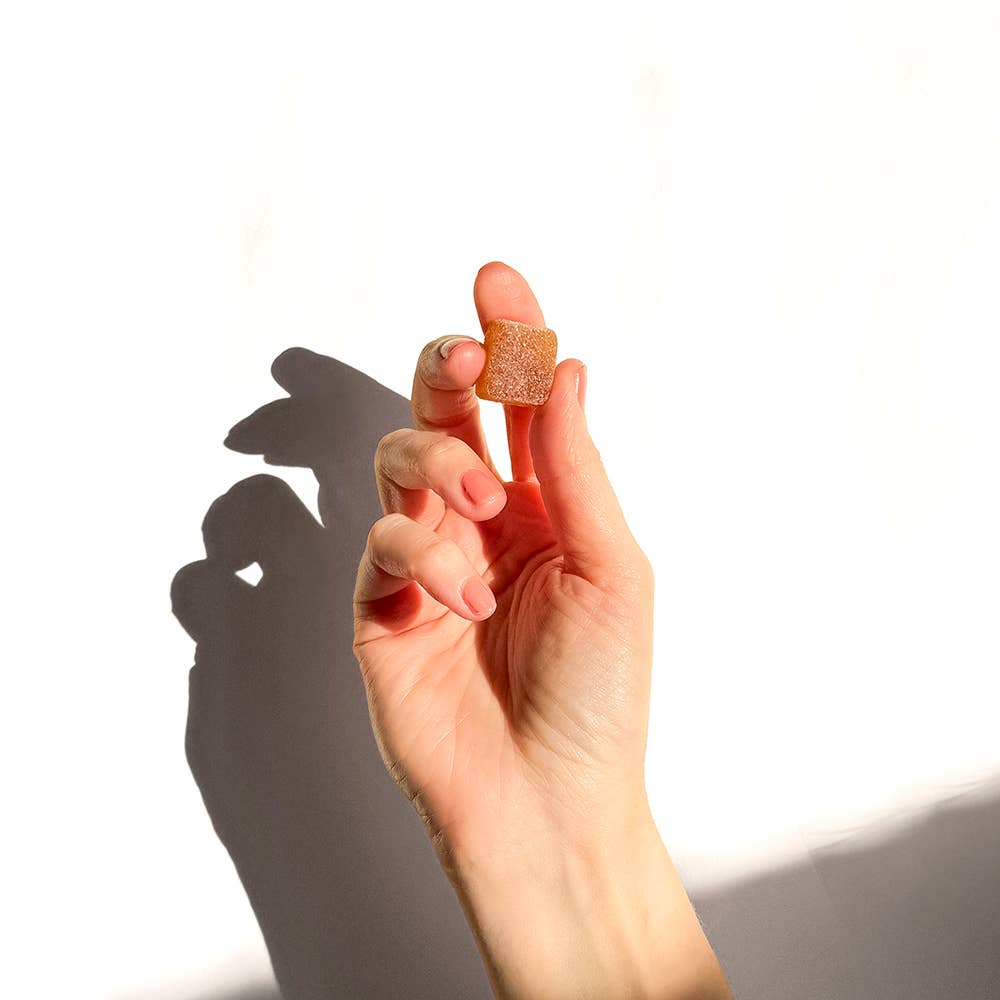 Concentrate Mushroom Gummies (5) / Vegan Supplement / Focus