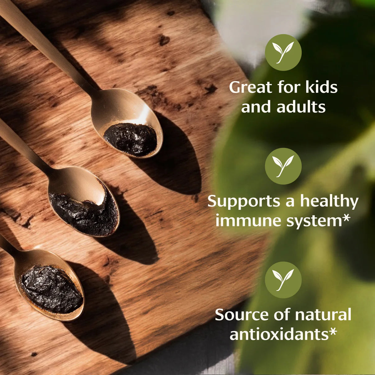 Chyavanprash - Herbal Immunity Jam