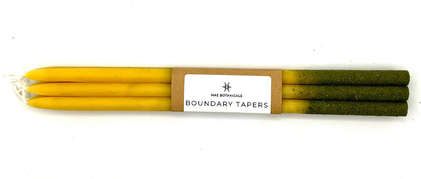 Beeswax Taper Candles